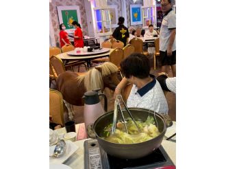 114年8月30日至9月1日六興宮至豐原、花蓮、宜蘭、虎尾參訪交流(3/3)