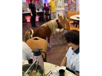 114年8月30日至9月1日六興宮至豐原、花蓮、宜蘭、虎尾參訪交流(3/3)
