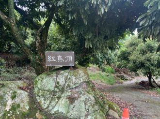 114年6月13日-14日參加高雄霞海城隍廟慶典暨訪宮(2/2)